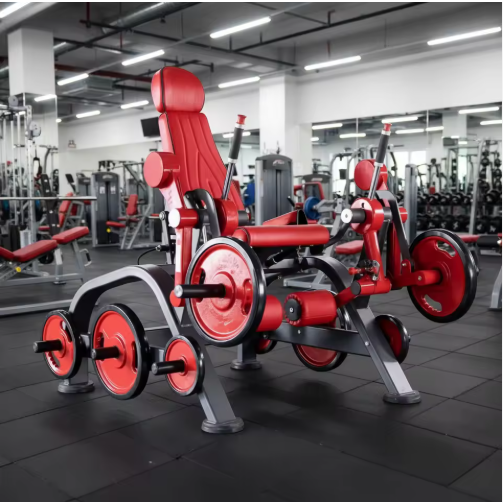 Профессиональный независимый т – обзор и цена Home Gym Leg Extension Machine